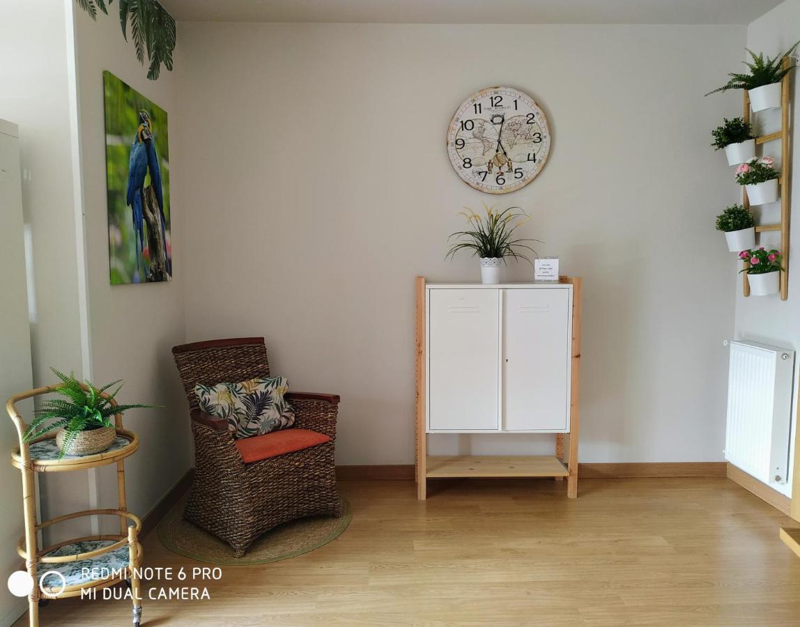 Apartmán Bermeo Y Urdaibai - Parking-Ascensor - Wifi - Tranquilo Exteriér fotografie